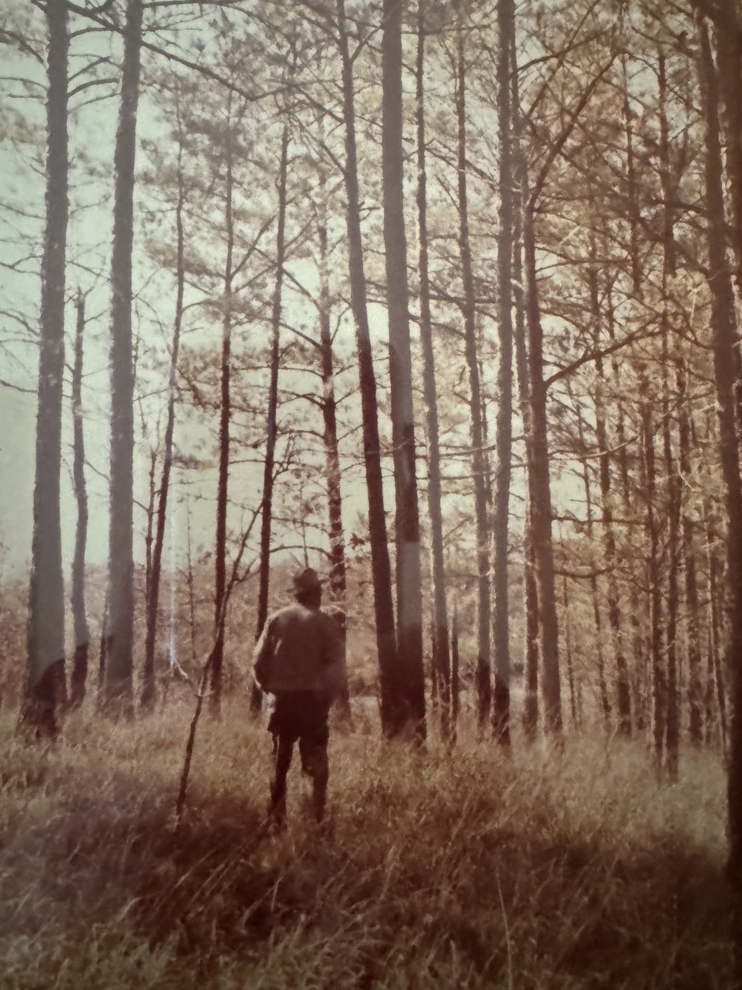 Our grandfather on the family tree farm in Mississippi